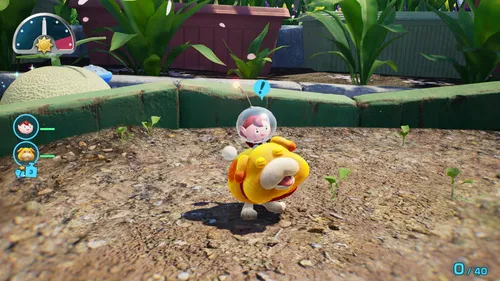 Nintendo Pikmin 4 - Switch 2 Edition & Dandori Academy