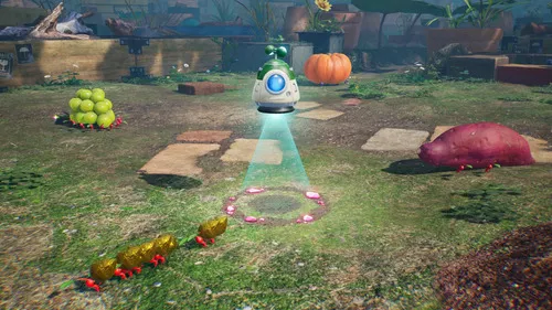 Nintendo Pikmin 4 - Switch 2 Edition & Dandori Academy