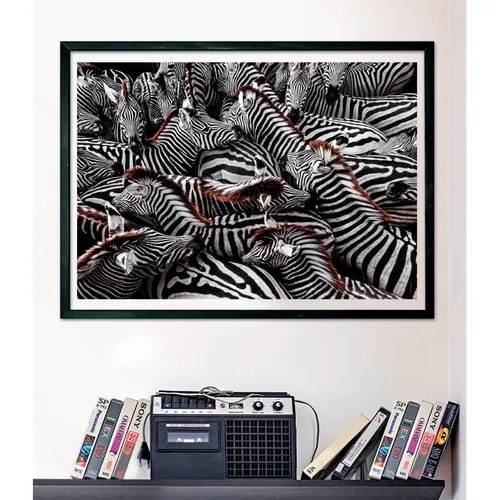 Clementoni Zebra Jigsaw puzzle 1000 pc(s) Animals