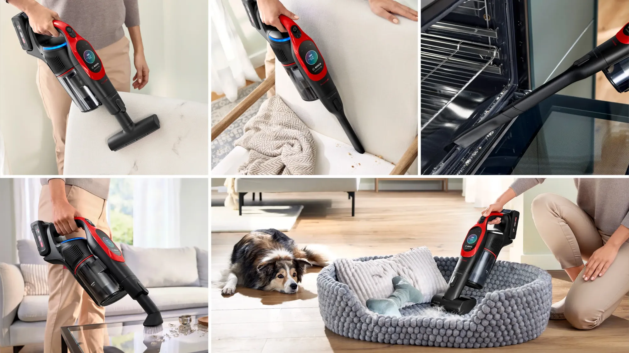 Aspirateur rechargeable Unlimited 10 ProAnimal Rouge BCS1041PET