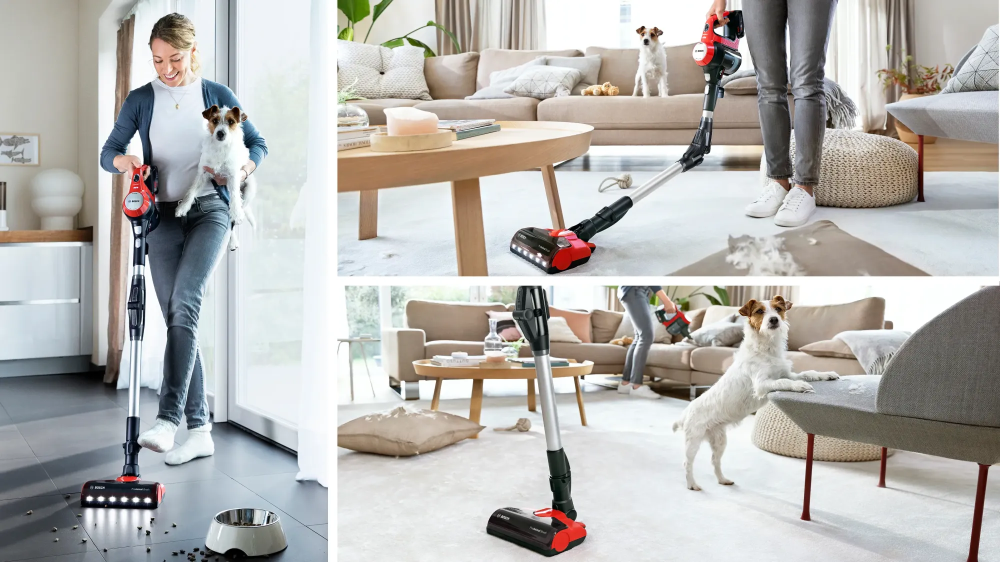 Aspirateur rechargeable Unlimited 7 ProAnimal Rouge BCS711PET