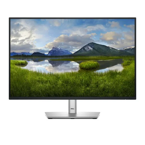 DELL Pro Plus P2425 pantalla para PC 61,1 cm (24.1") 1920 x 1200 Pixeles WUXGA LCD Negro