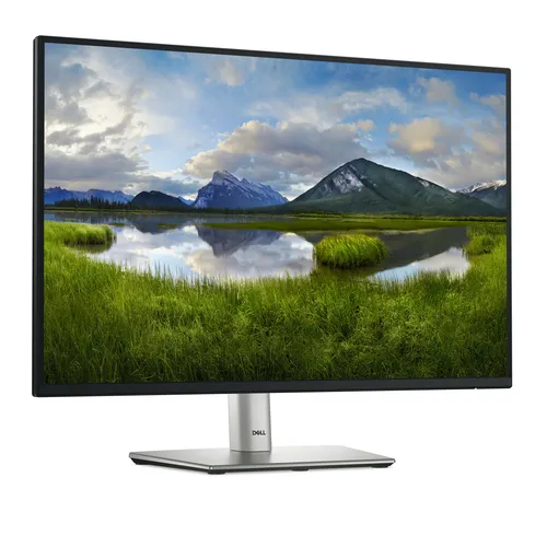 DELL Pro Plus P2425E pantalla para PC 61,1 cm (24.1") 1920 x 1200 Pixeles WUXGA LCD Negro
