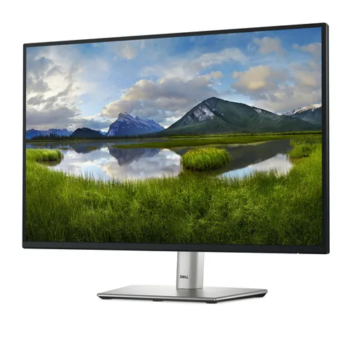 DELL Pro Plus P2425E pantalla para PC 61,1 cm (24.1") 1920 x 1200 Pixeles WUXGA LCD Negro