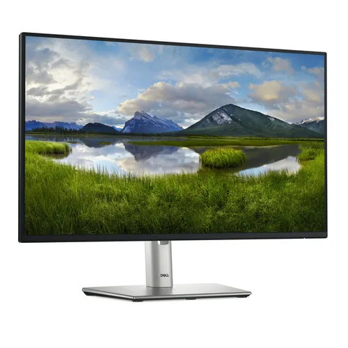 DELL Pro Plus P2425H Computerbildschirm 60,5 cm (23.8") 1920 x 1080 Pixel Full HD LCD Schwarz