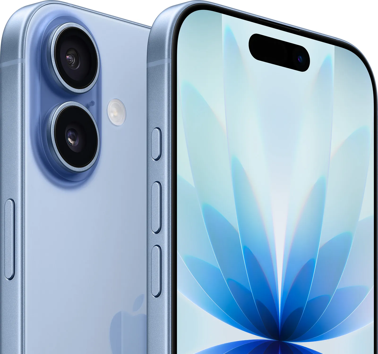 iPhone 17 256 Go Brume
