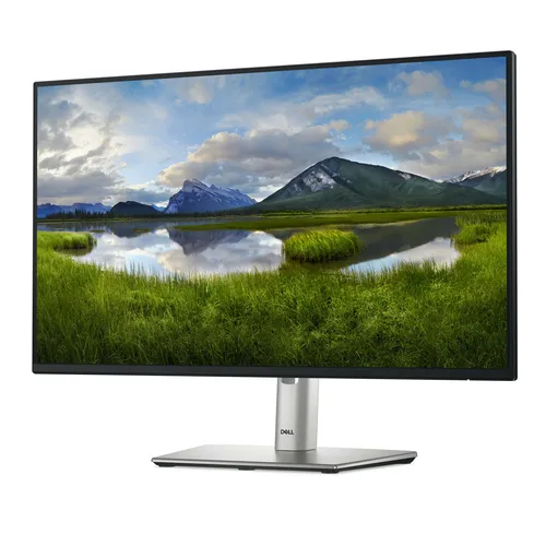 DELL Pro Plus P2425HE pantalla para PC 60,5 cm (23.8") 1920 x 1080 Pixeles Full HD LCD Negro